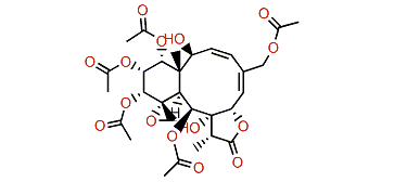 Gemmacolide F
